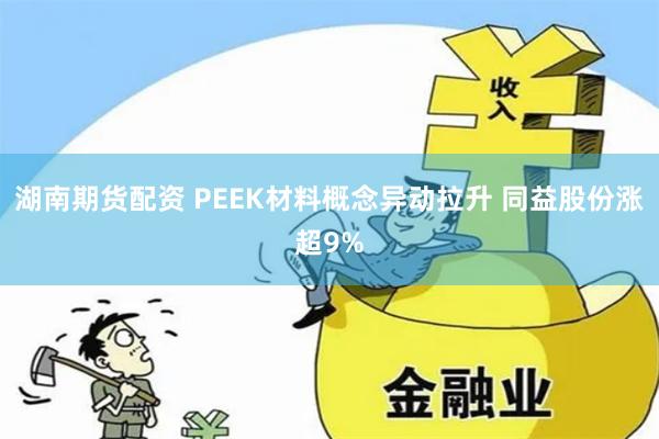 湖南期货配资 PEEK材料概念异动拉升 同益股份涨超9%