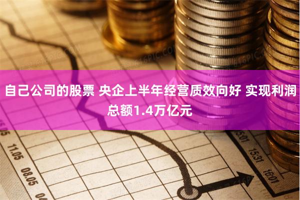 自己公司的股票 央企上半年经营质效向好 实现利润总额1.4万亿元