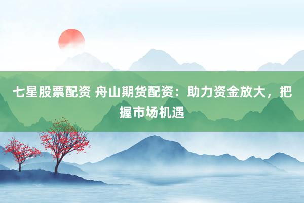 七星股票配资 舟山期货配资：助力资金放大，把握市场机遇