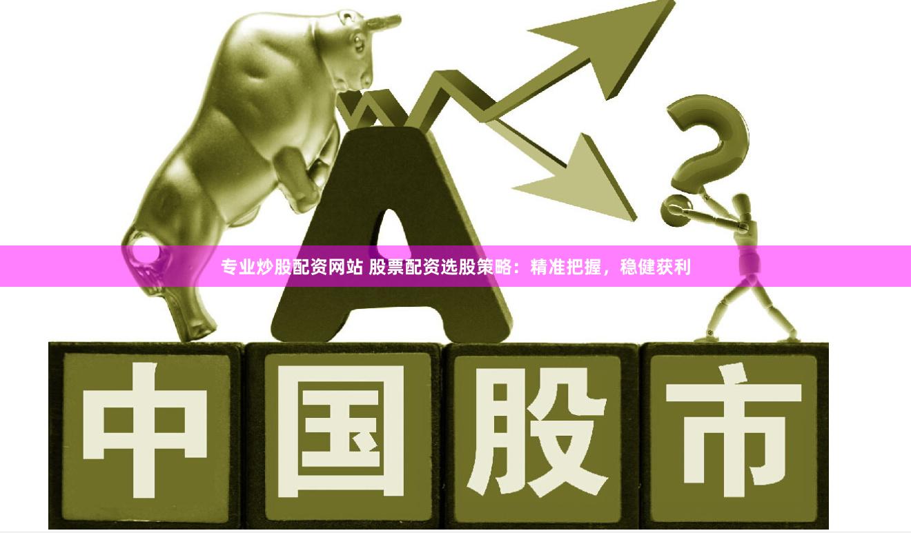专业炒股配资网站 股票配资选股策略：精准把握，稳健获利