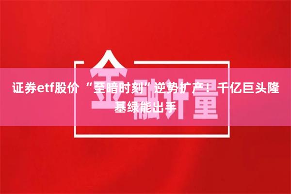 证券etf股价 “至暗时刻”逆势扩产！千亿巨头隆基绿能出手